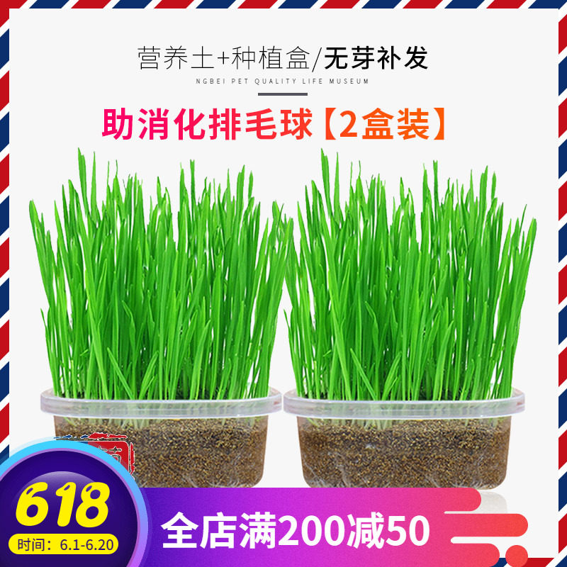 猫草种子水培猫薄荷粉去毛球化毛膏狗草种籽种植套装用品猫咪零食在类目 宠物/宠物食品及用品, 猫零食中 - 来自Buy2taobao.com提供专业的淘宝代购服务