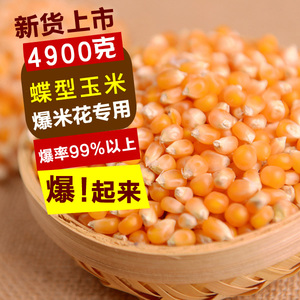 爆米花专用玉米粒花蝶型原料新货现货影院KTV爆裂小玉米9.8斤包邮