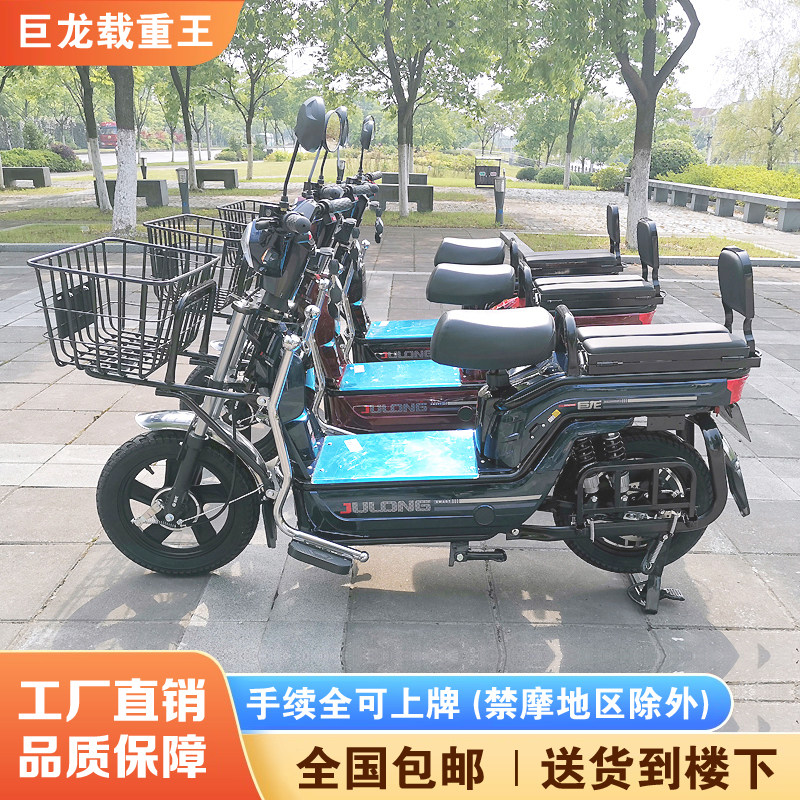 巨龙新国标小型载重王电动车