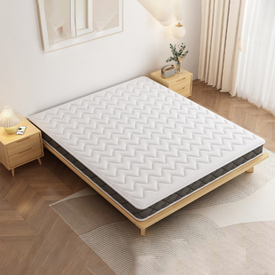 椰棕床垫硬垫子单人双人家用卧室乳胶加厚榻榻米定制尺寸学生宿舍