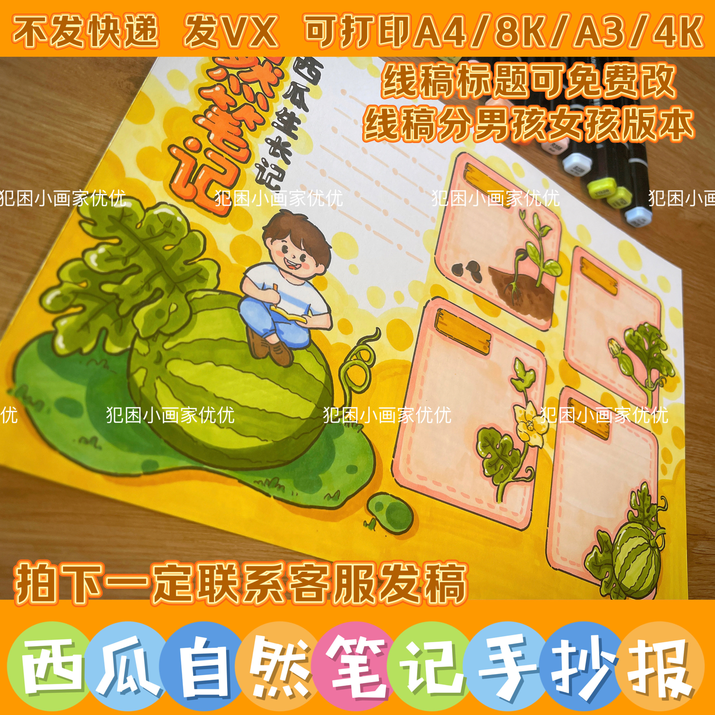 【西瓜自然笔记手抄报】植物生长 西瓜成长记电子线稿模版