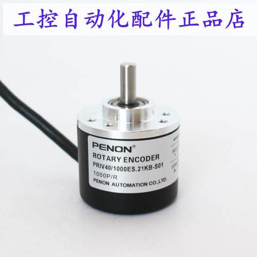 PENONPRIV40/1000ES.21KB-S01/2000AR.11RB-1.5M/2000ES.11IB