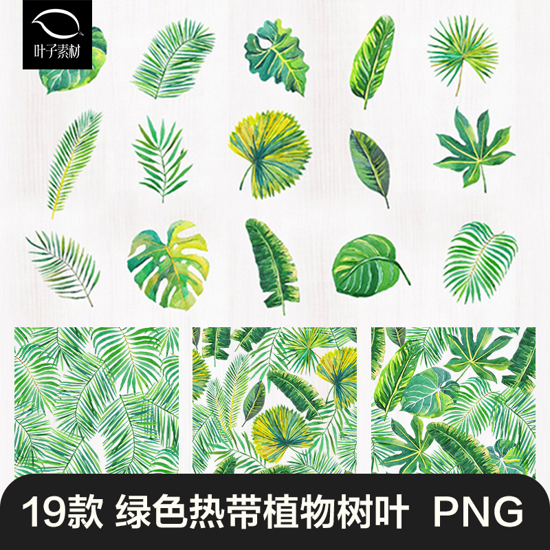 手绘热带绿色植物叶子插画图案棕榈叶子夏季装饰元素PNG免抠素材