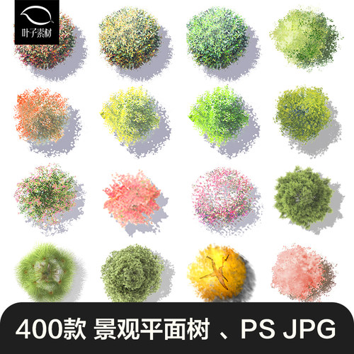 PS园林植物平面图景观乔木树顶视图彩平图PSD免抠素材小清新手绘