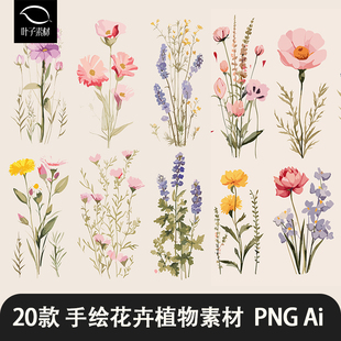 手绘小清新水彩花朵植物薰衣草雏菊野花包装设计ai矢量素材