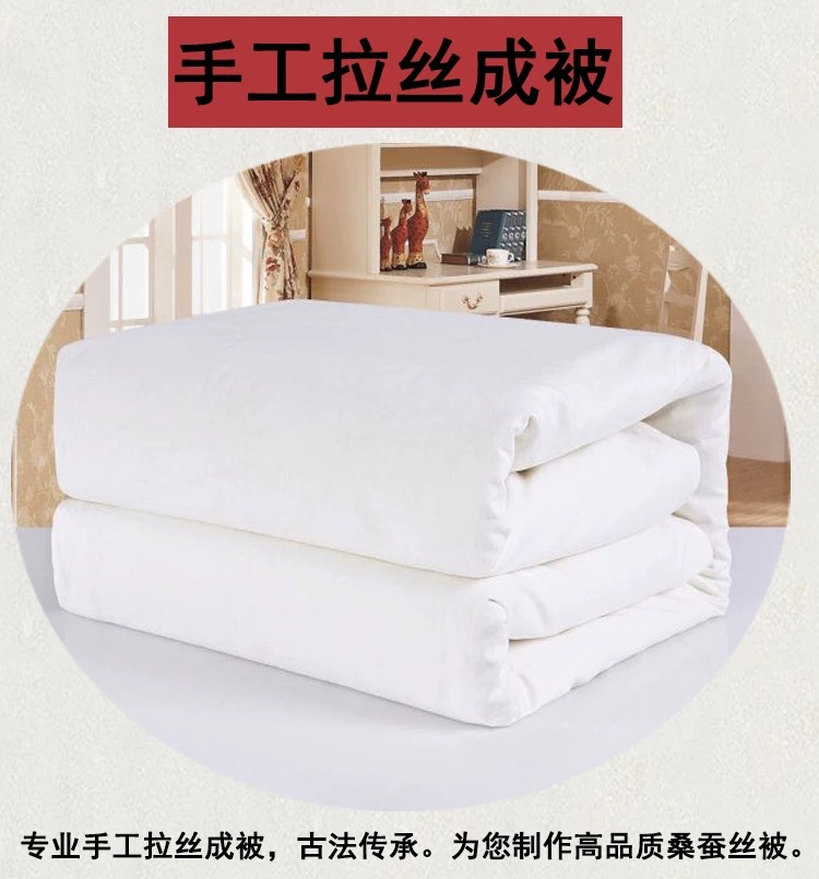 宝贝幼儿园儿童宝宝桑蚕丝被子母被芯被子婴儿夏凉被春秋冬被定制