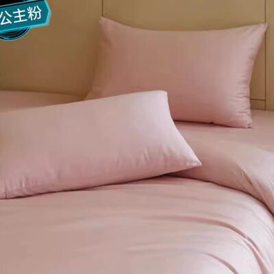 清仓特价60支纯棉高支贡缎枕套枕头套枕皮瑕疵50*75cm单人枕一对2