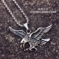 Steel Eagle