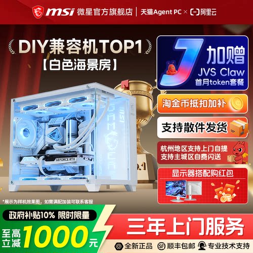 【国补10%】微星5060/Ti白海景房