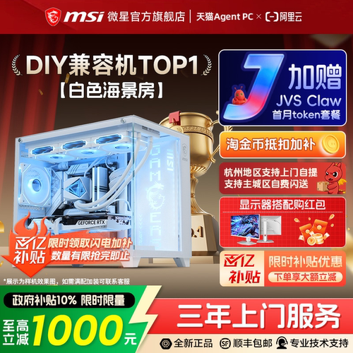 【国补10%】微星5060/Ti白海景房