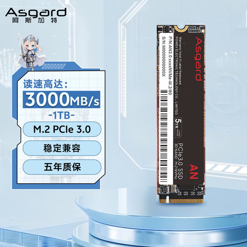 阿斯加特AN3500G/1TB固态