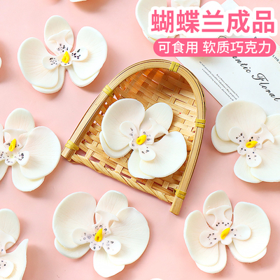 蝴蝶兰巧克力蛋糕装饰摆件