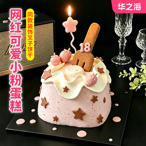 【某书同款】创意可爱生日蛋糕