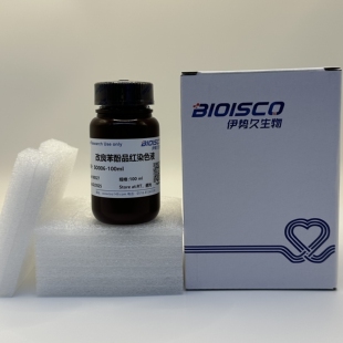 改良苯酚品红染色液/改良石炭酸品红染色液 高品质卡宝品红染色液