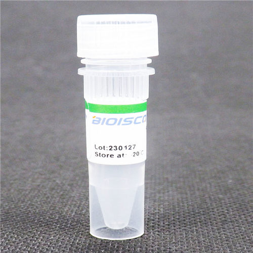 DNA凝胶加样缓冲液 Loading Buffer 配置溶液 试剂盒 核酸电泳