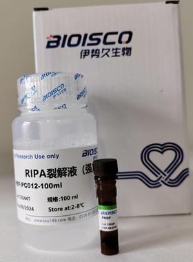 RIPA裂解液(弱/中/强)  现配溶液 蛋白质检测试剂 高品质裂解液