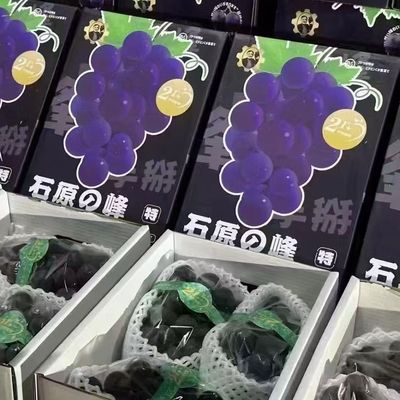 手掰石原辽峰葡萄21度甜巨峰黑藤