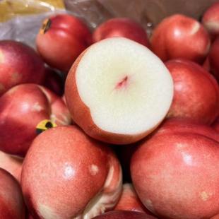澳洲白肉油桃桃驳李智利新鲜桃子当季孕妇水果3斤5斤现货顺丰