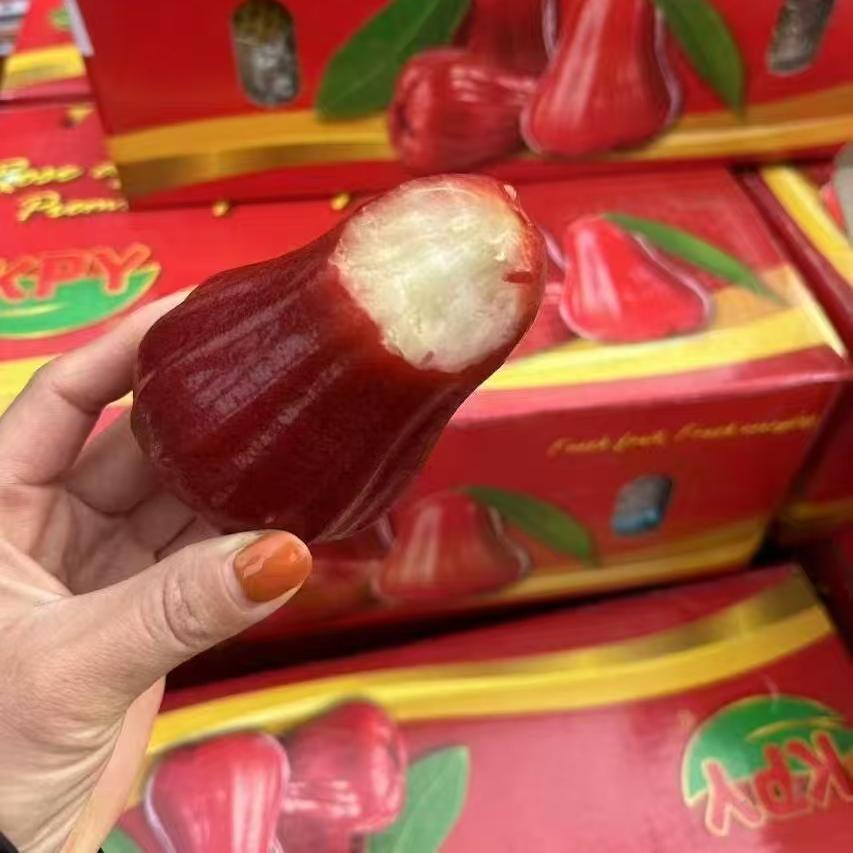 泰国KPY黑金刚莲雾果5A大果