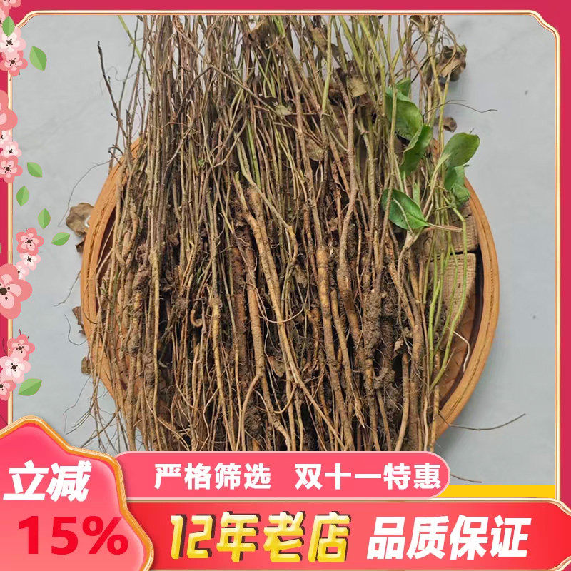 甘草苗中药材甘草根苗带芽发货易种活基地直发全种苗百部苗紫苑苗