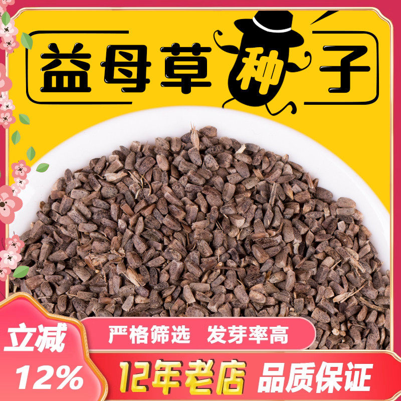 散装药材益母草种子茺蔚子种籽2025年新品包邮可做芽苗菜四季播种,鲜花速递/花卉仿真/绿植园艺,家庭园艺种子,淘宝优惠券,粉丝福利购,淘宝优惠卷
