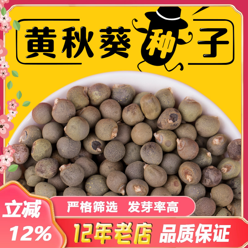 黄秋葵种子绿秋葵菜 绿羊角菜 撒可奇杨贵妃五福 春播四季种高产