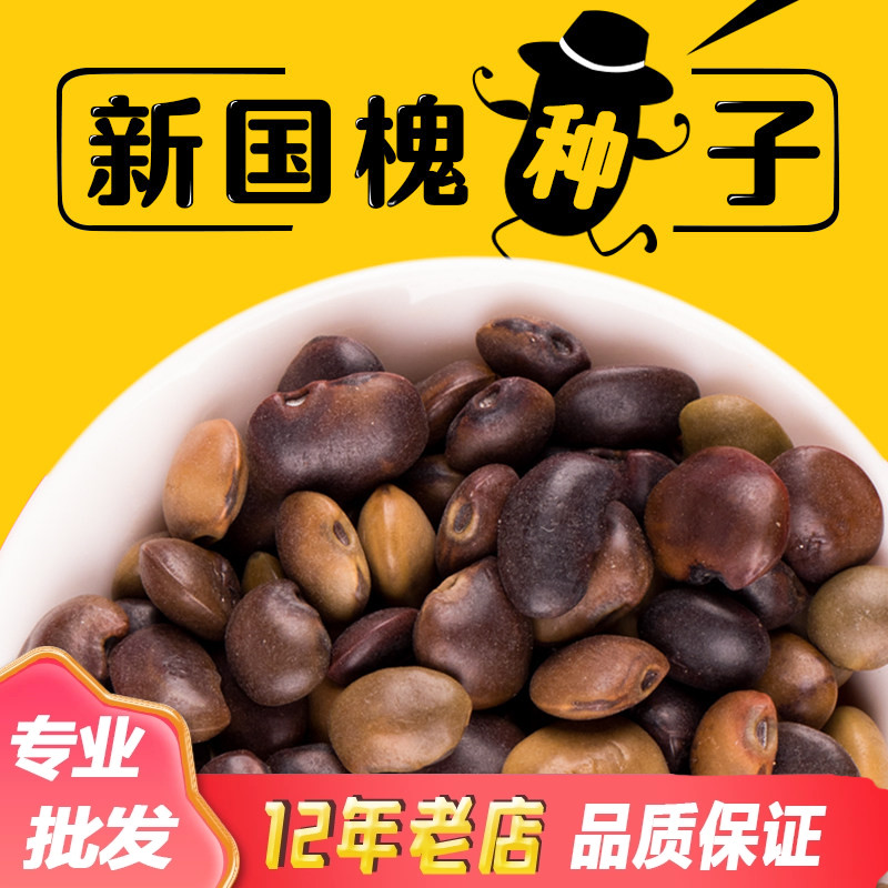 国槐种子新采速生国槐树籽笨槐家槐树可食用去皮槐豆净种籽林木种