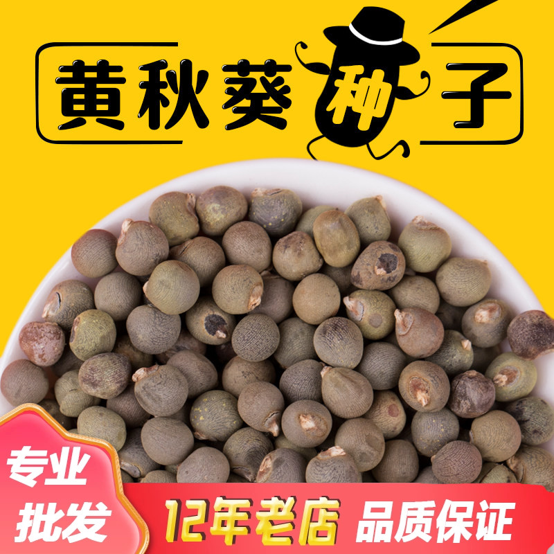 黄秋葵种子绿秋葵菜 绿羊角菜 撒可奇杨贵妃五福 春播四季种