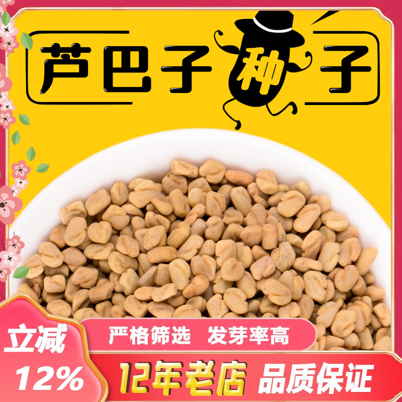 药材芦巴子葫芦巴种子香草种籽散装净货四季芽苗菜可食用可打粉