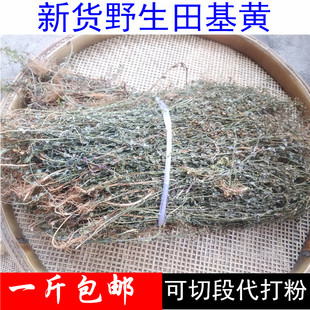 野生田基黄 地耳草 黄花草 雀舌草500克干品整株田基王包邮