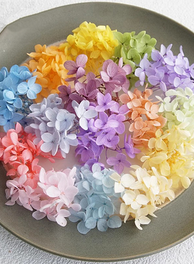 绣球永生花diy材料包手工材料