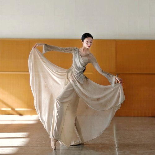 古典舞服装飘逸宽松裙裤阔腿裤女中国舞演出服舞蹈裤子汉唐舞