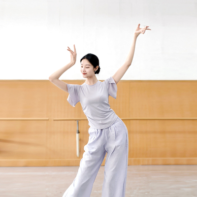 现代舞短袖上衣古典舞练功服夏季中国舞服女修身时尚瑜伽舞蹈衣服