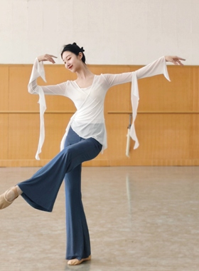 飘逸纱衣舞蹈服现代舞成人长袖上衣中国古典舞练功服形体女修身