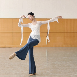 飘逸纱衣舞蹈服现代舞成人长袖 上衣中国古典舞练功服形体女修身