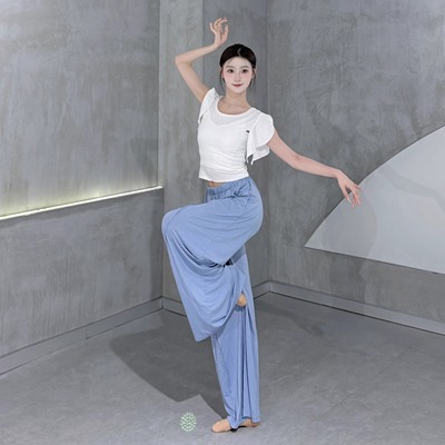 现代舞显瘦上衣古典舞练功服夏季中国舞服装女新款立领时尚舞蹈服