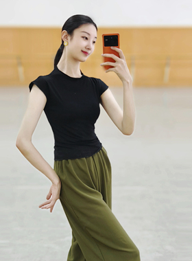 现代舞上衣古典舞练功服夏季中国舞服装女款新款立领时尚舞蹈衣服