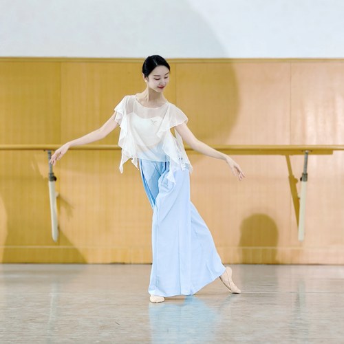 古典舞身韵飘逸仙气纱衣练功服中国舞成人形体舞蹈服装上衣汉唐风