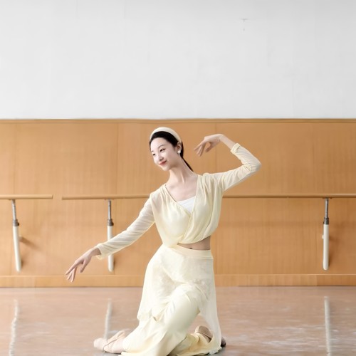 新款现代舞蹈服成人长袖罩衫宽松飘逸练功服古典舞瑜伽中国舞芭蕾