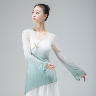 古典舞练功服渐变民族身韵演出专业女成人中国舞纱衣舞蹈服装瑜伽