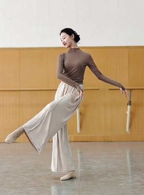 秋冬现代舞蹈服古典中国舞成人练功服长袖舞蹈教师跳舞女芭蕾瑜伽