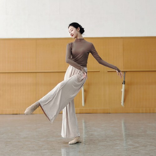 春秋现代舞蹈服古典中国舞成人练功服长袖舞蹈教师跳舞女芭蕾瑜伽