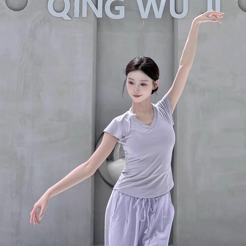 现代舞夏季成人舞蹈服短袖上衣练功修身中国古典民族跳舞服女瑜伽