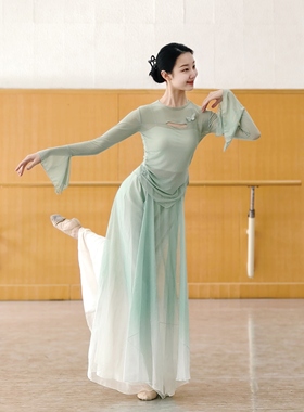 古典舞纱衣中国舞服装身韵形体服显瘦舞蹈上衣女民族舞练功服