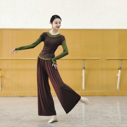 现代舞蹈服古典中国舞练功服女秋季假两件长袖上衣形体训练服瑜伽