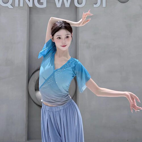 古典舞练功服身韵服纱衣中国舞舞蹈服女飘逸上衣形体服演出服