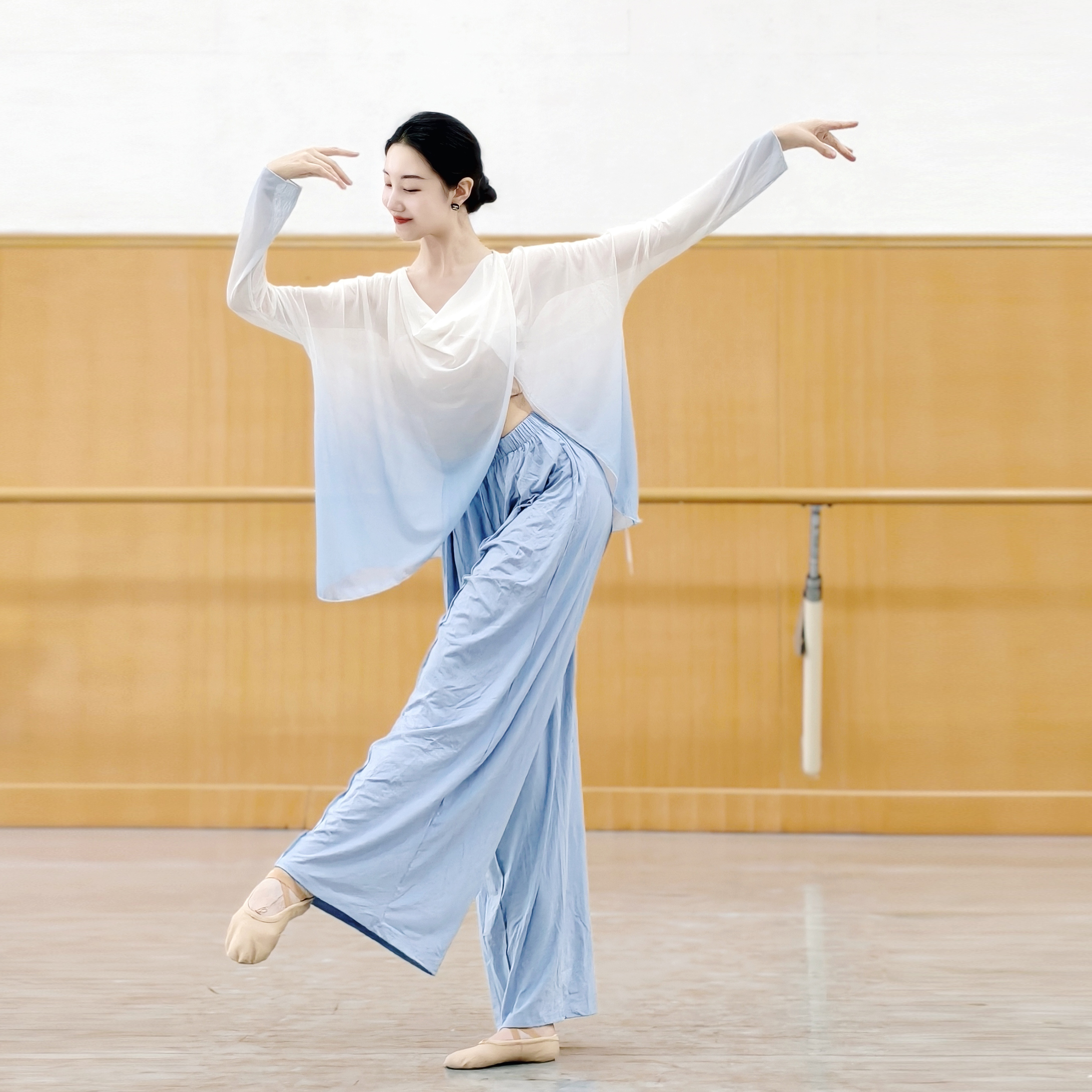 古典舞蹈服飘逸纱衣蝴蝶渐变演出服中国舞仙气身韵练功服汉唐基训