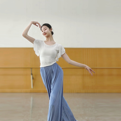 古典舞蹈服装荷叶边短袖上衣中国舞现代舞练功形体夏季服装