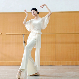 古典舞服飘逸蝴蝶纱衣女中国舞身韵练功服形体训练上衣女