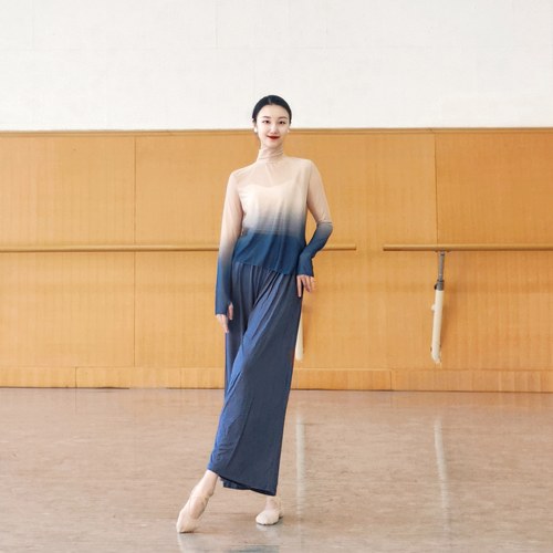 古典舞渐变纱衣中国舞民族舞练功服形体训练服舞蹈身韵上衣